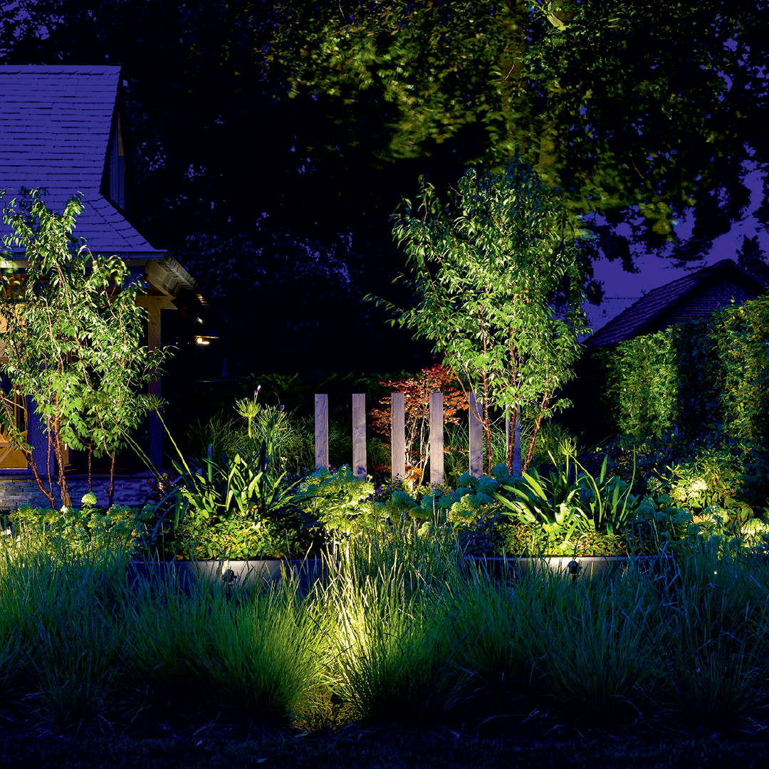 Oświetlenie drzew w ogrodzie