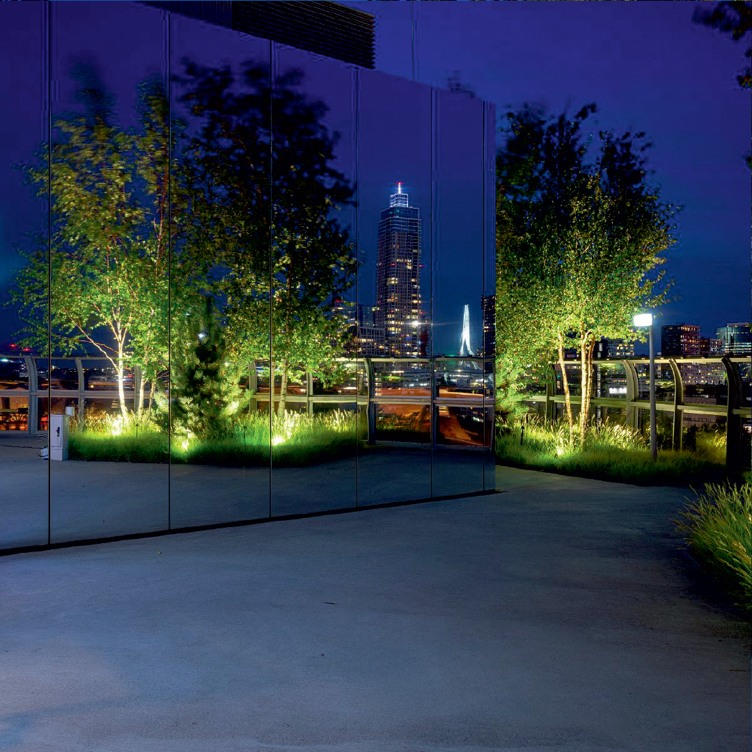 Oświetlenie drzew w ogrodzie