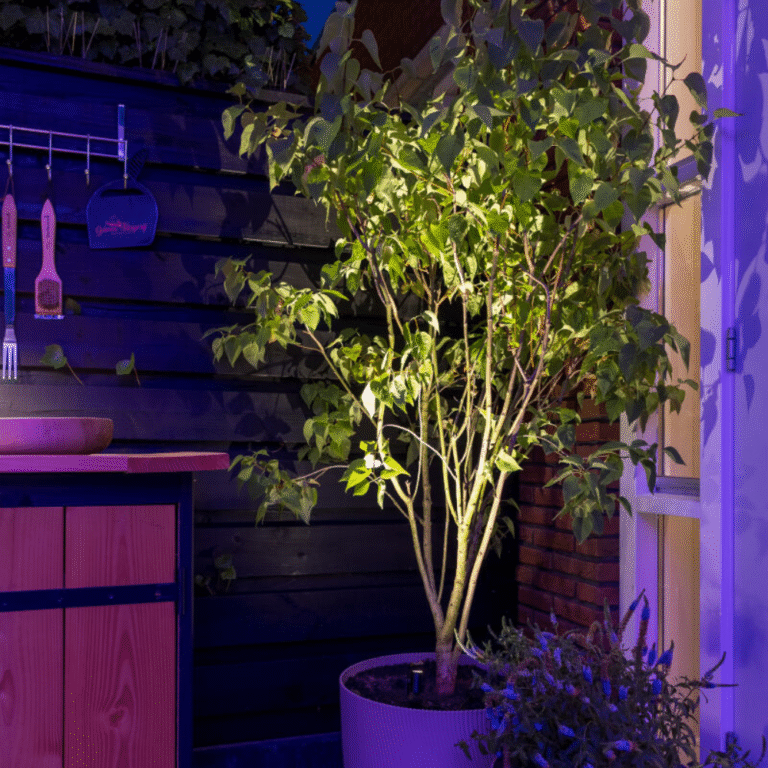 reflektor MICRO SCOPE inlite1