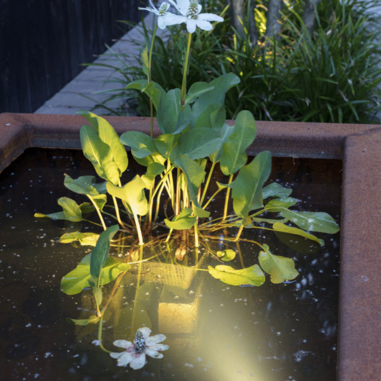 reflektor SUB inlite1